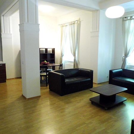 Lion Apartments Medena, Big Size, High Ceilings ブラチスラヴァ 部屋 写真