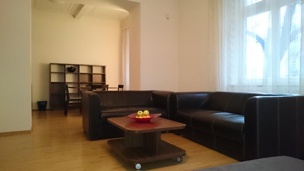 Lion Apartments Medena, Big Size, High Ceilings ブラチスラヴァ 部屋 写真
