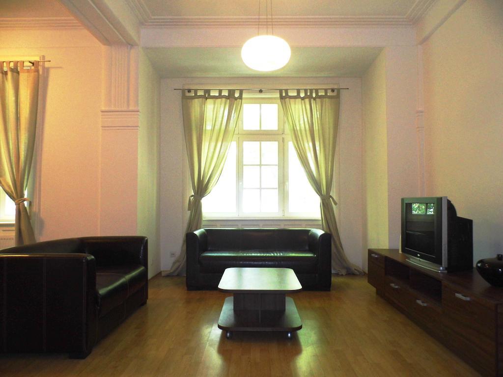 Lion Apartments Medena, Big Size, High Ceilings ブラチスラヴァ 部屋 写真