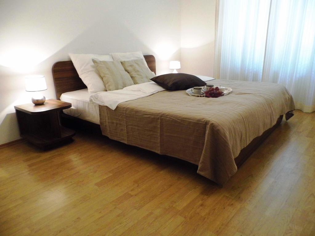 Lion Apartments Medena, Big Size, High Ceilings ブラチスラヴァ 部屋 写真