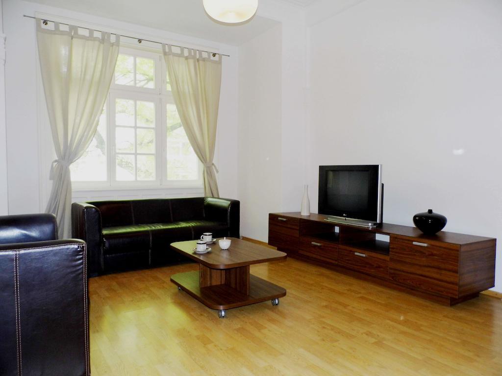 Lion Apartments Medena, Big Size, High Ceilings ブラチスラヴァ 部屋 写真