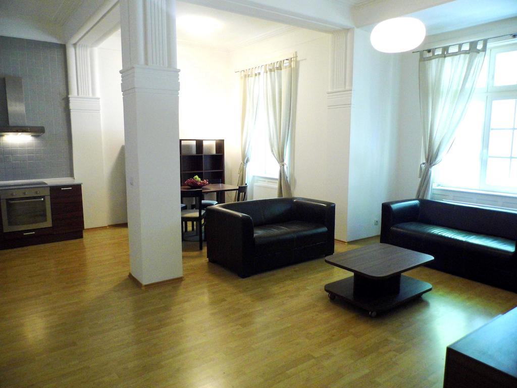Lion Apartments Medena, Big Size, High Ceilings ブラチスラヴァ 部屋 写真