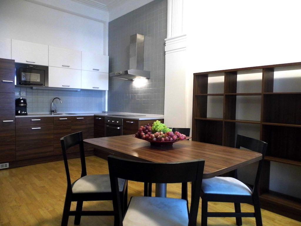 Lion Apartments Medena, Big Size, High Ceilings ブラチスラヴァ 部屋 写真