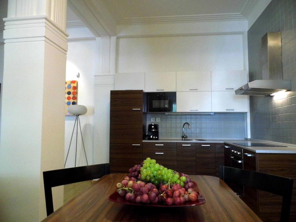 Lion Apartments Medena, Big Size, High Ceilings ブラチスラヴァ 部屋 写真
