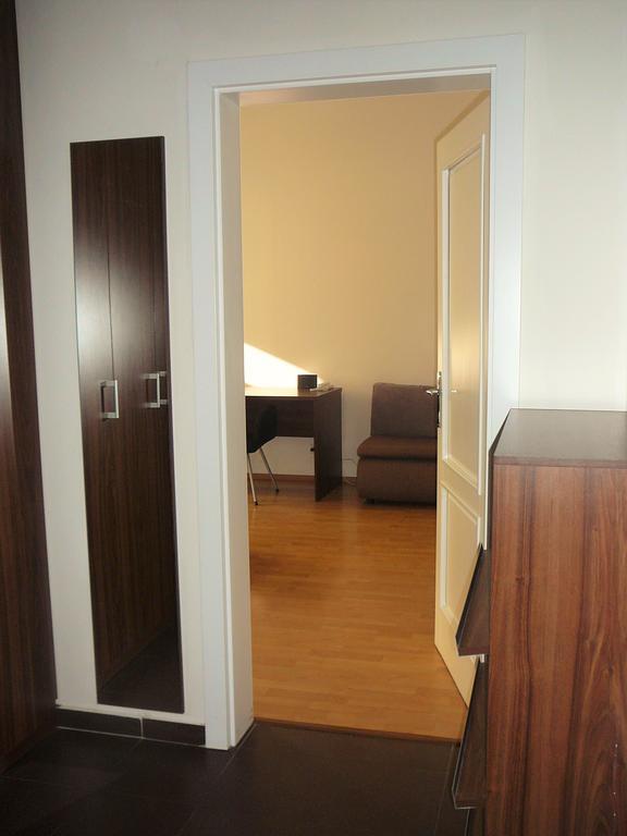 Lion Apartments Medena, Big Size, High Ceilings ブラチスラヴァ エクステリア 写真
