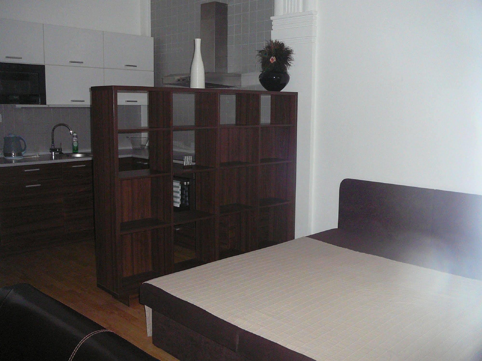 Lion Apartments Medena, Big Size, High Ceilings ブラチスラヴァ エクステリア 写真